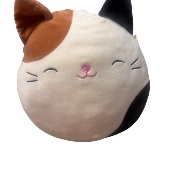 Squishmallows Cam the Calico Cat - Picture 1 of 8